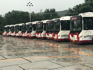 &#30343;&#20896;